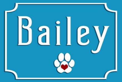 personalized-pet-signs-dog-name-sign