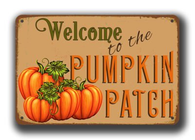 Pumpkin Patch Sign - Pumpkin Signs - Image 2