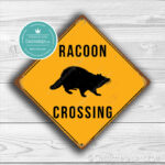 Racoon Crossing Sign