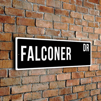 Falconer street sign